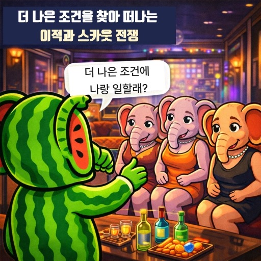 오피관리사